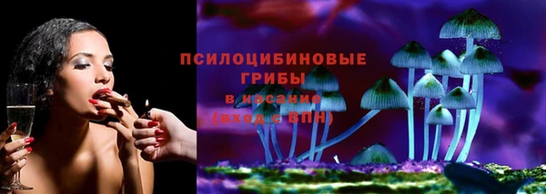 ГАЛЛЮЦИНОГЕННЫЕ ГРИБЫ Ивантеевка