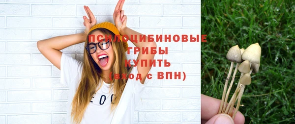 мет Ивангород