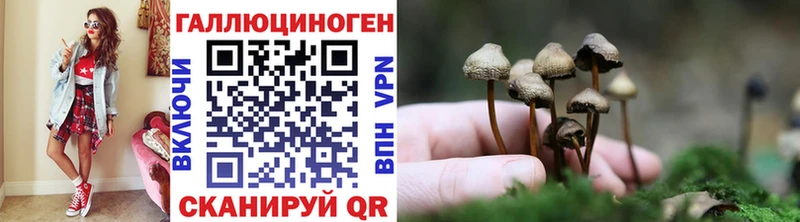 Псилоцибиновые грибы прущие грибы  мориарти официальный сайт  Очёр  наркота 